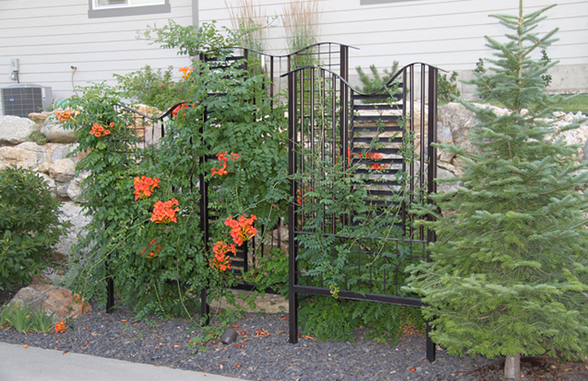 3 Panel Trellis