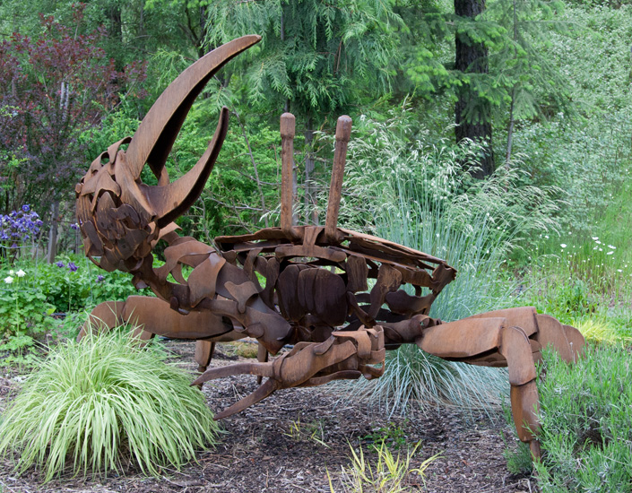 Fiddler Crab